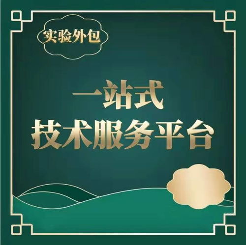 如何有效采購(gòu)技術(shù)服務(wù)外包 價(jià)格與供應(yīng)商信息管理指南